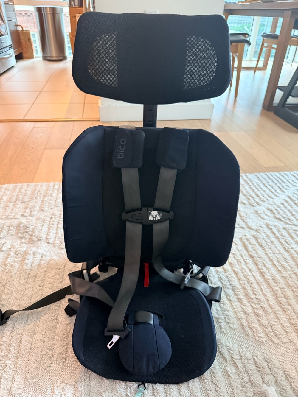 Pico Black WAYB travel car seat